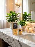 Antioxidant Ginkgo Gel Booster Men